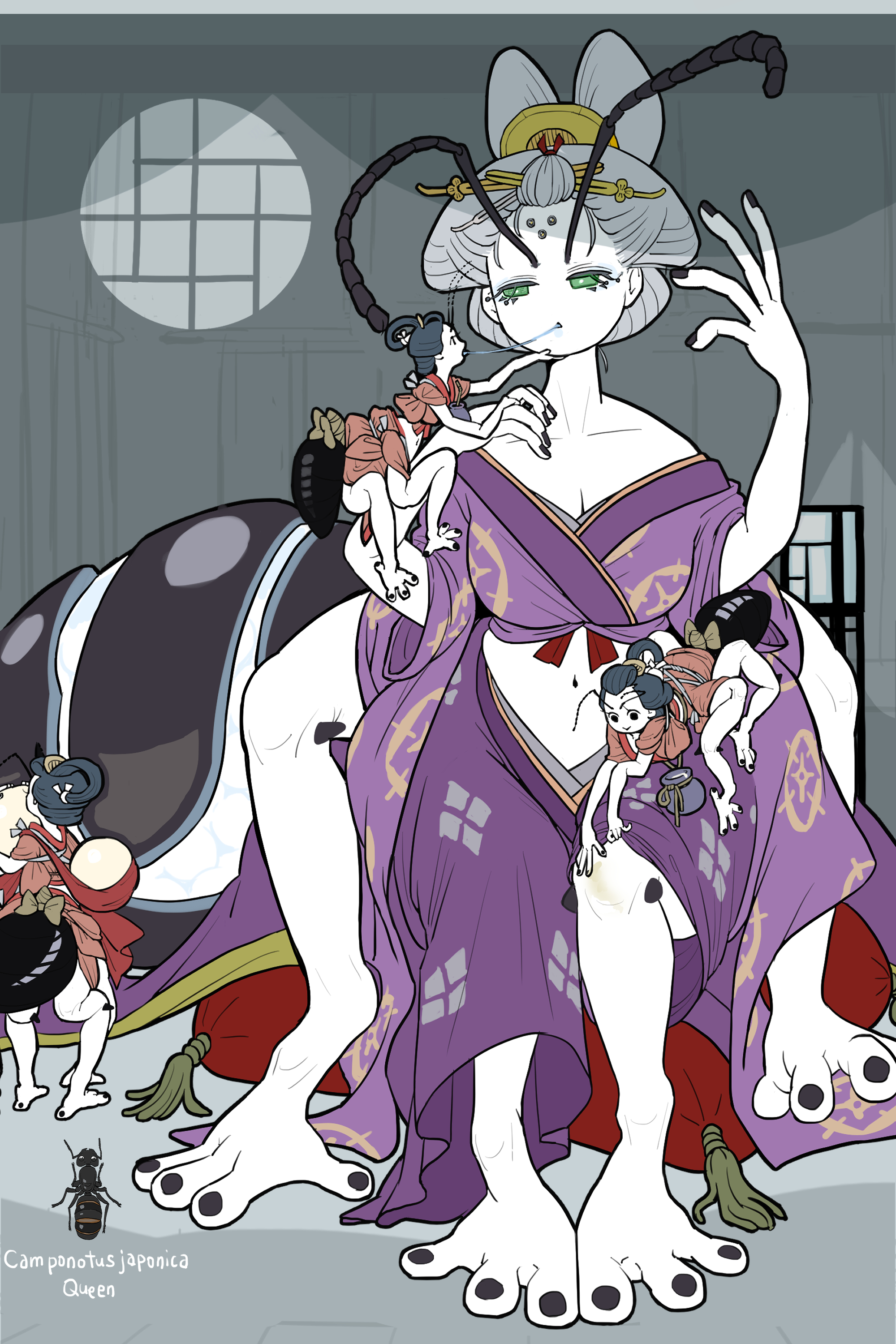 クロオオアリ 女王 Queen