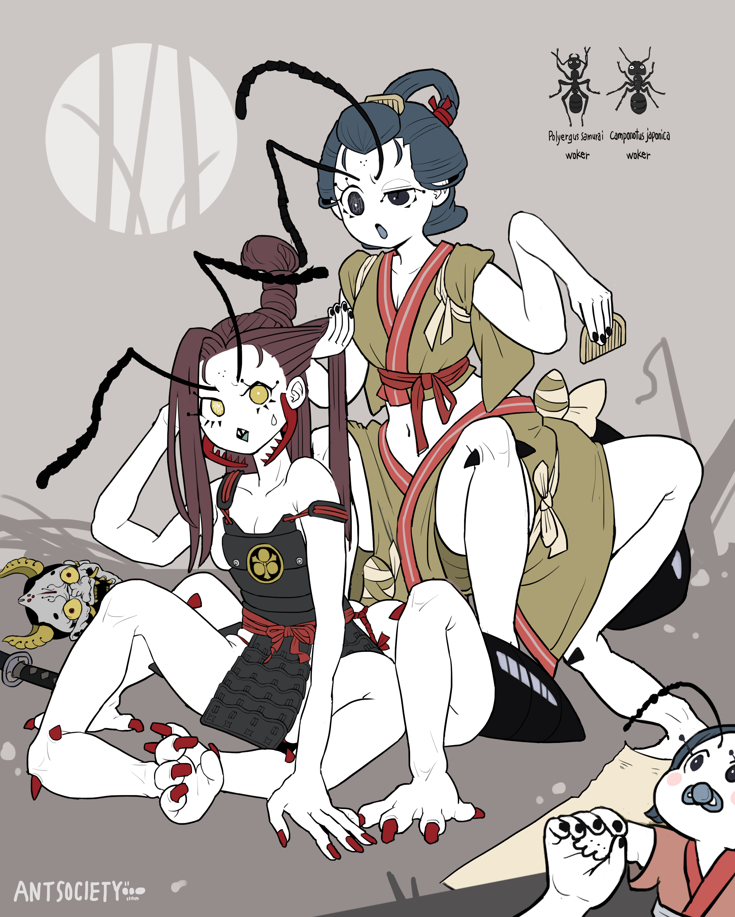 サムライアリ × クロオオアリ