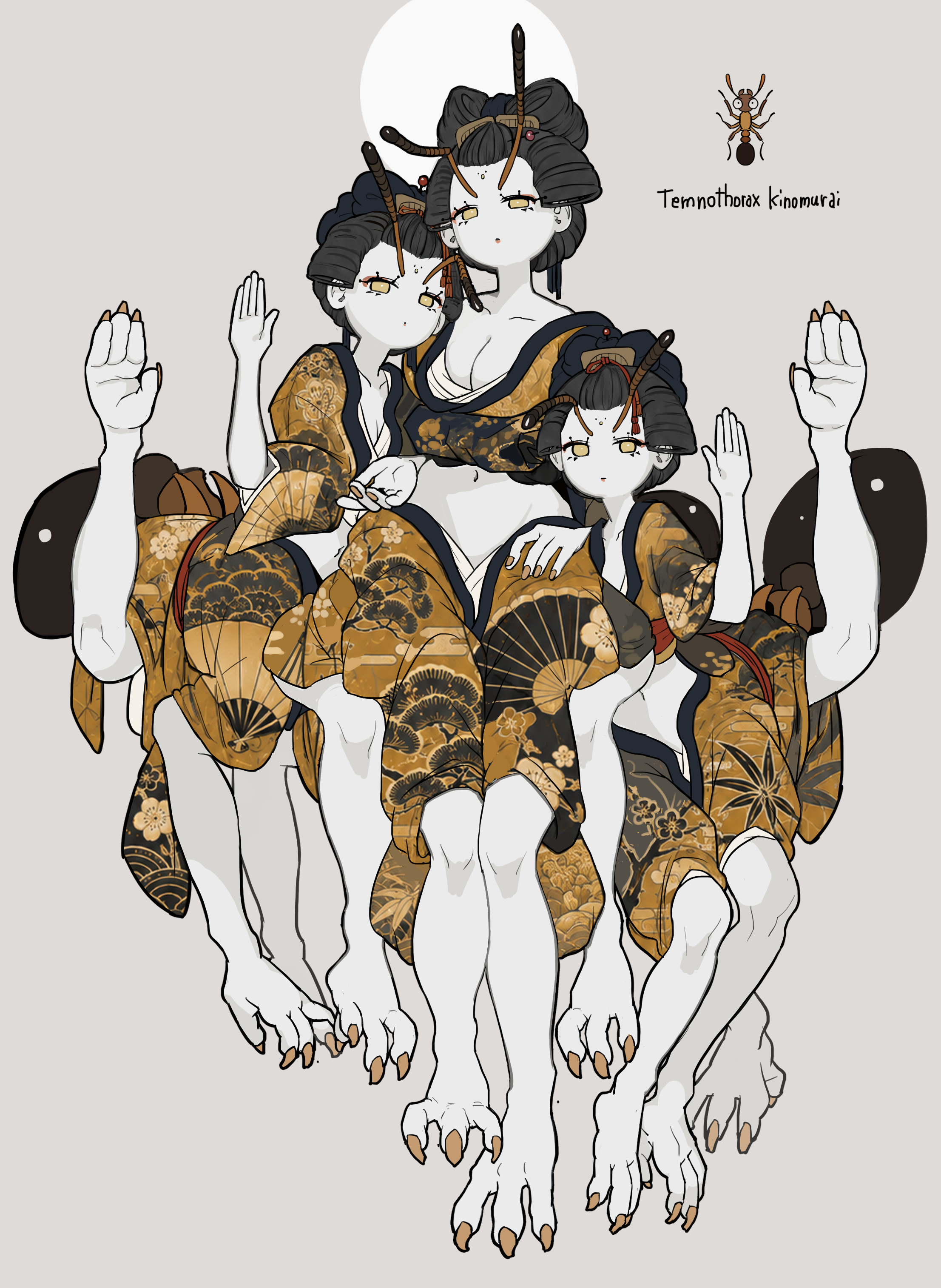 キノムラヤドリムネボソアリ 完成イラスト