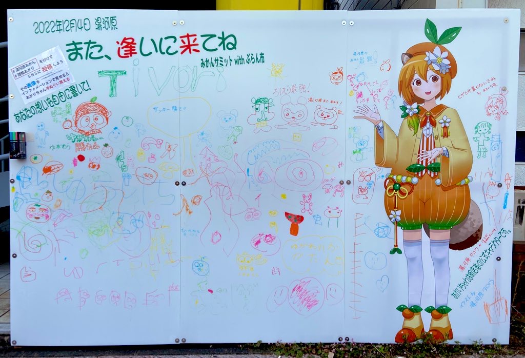 商品パッケージ